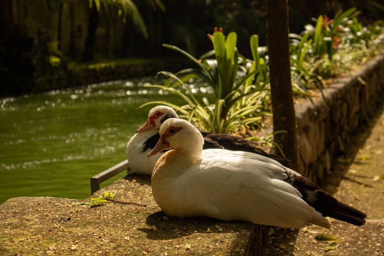 Quinta Da Mo Vendégház Furnas  Kültér fotó