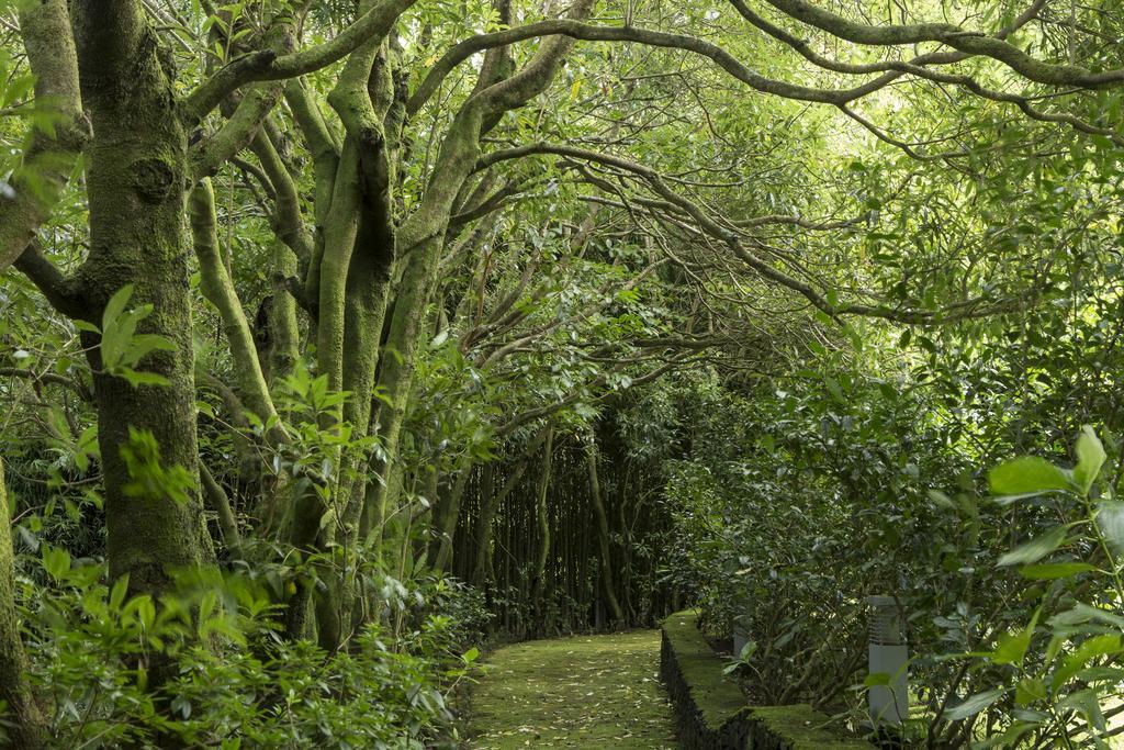 Quinta Da Mo Vendégház Furnas  Kültér fotó